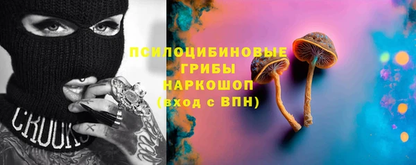 твердый Алзамай