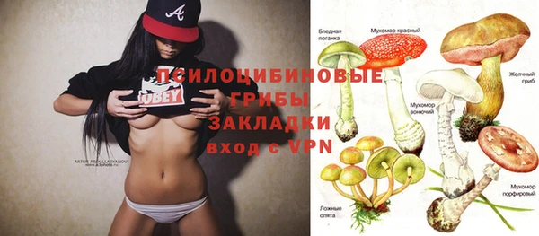 твердый Алзамай