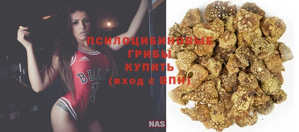 прущие крисы Переславль-Залесский