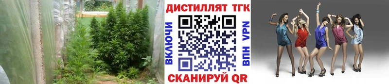 ТГК Wax  Болхов 
