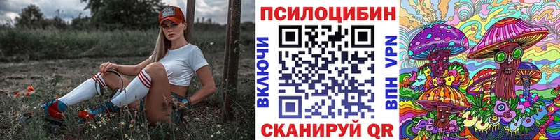 цена наркотик Болхов Псилоцибиновые грибы Psilocybine cubensis
